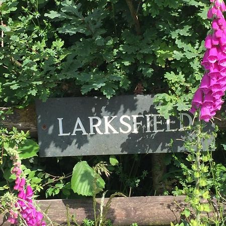 Larksfield Loft Lejlighed Okehampton Eksteriør billede
