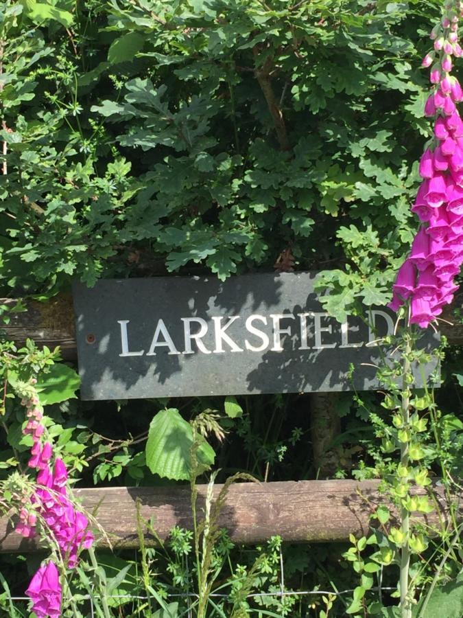 Larksfield Loft Lejlighed Okehampton Eksteriør billede